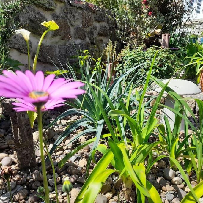 Corvus - Beautiful Cottage Half A Mile From Mousehole 펜젠스 외부 사진