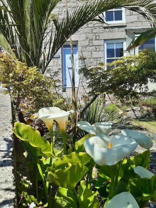 Corvus - Beautiful Cottage Half A Mile From Mousehole 펜젠스 외부 사진
