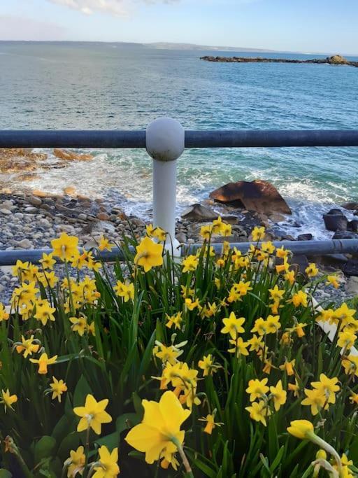 Corvus - Beautiful Cottage Half A Mile From Mousehole 펜젠스 외부 사진