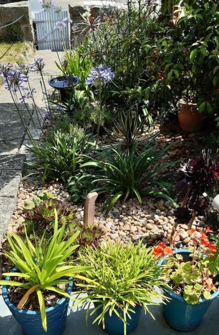 Corvus - Beautiful Cottage Half A Mile From Mousehole 펜젠스 외부 사진