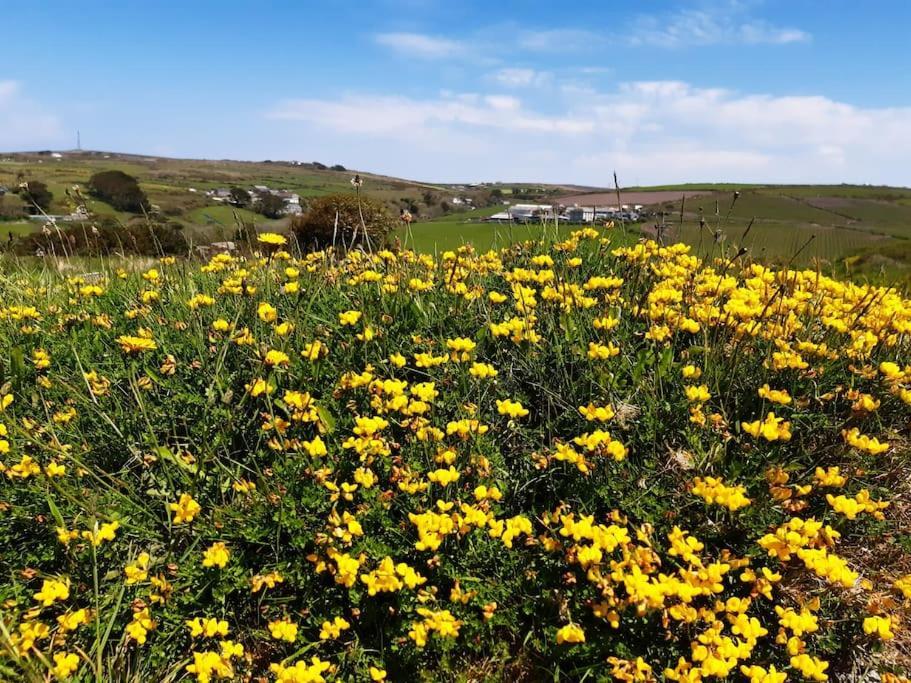 Corvus - Beautiful Cottage Half A Mile From Mousehole 펜젠스 외부 사진